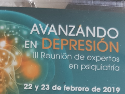 Congres sobre Depresió